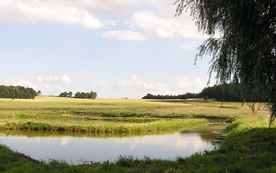 Blick auf einen benachbarten Teich